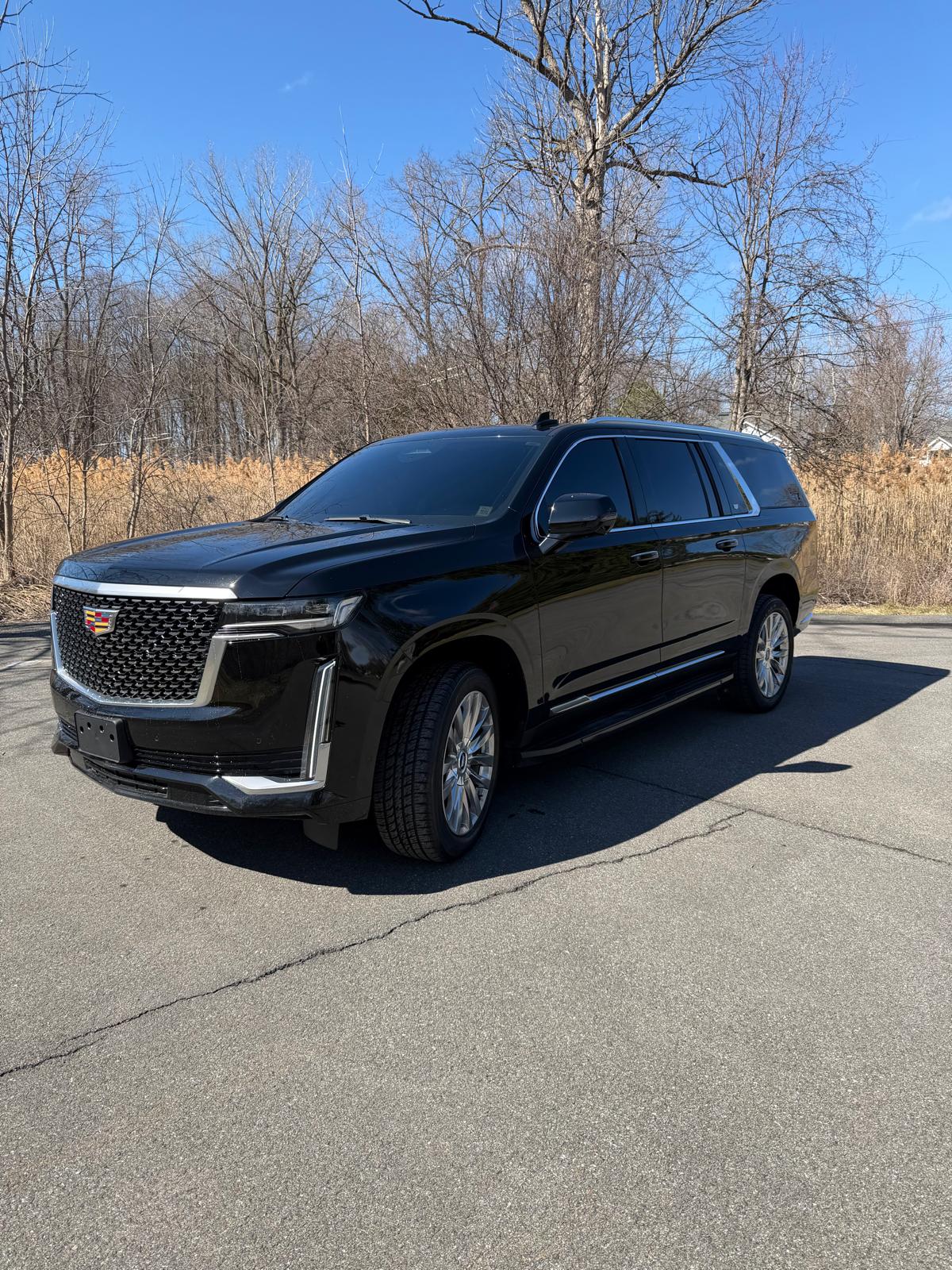 Sunny Express transportation photo 1