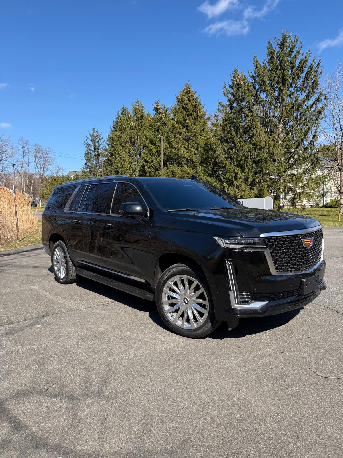 Sunny Express transportation photo 2